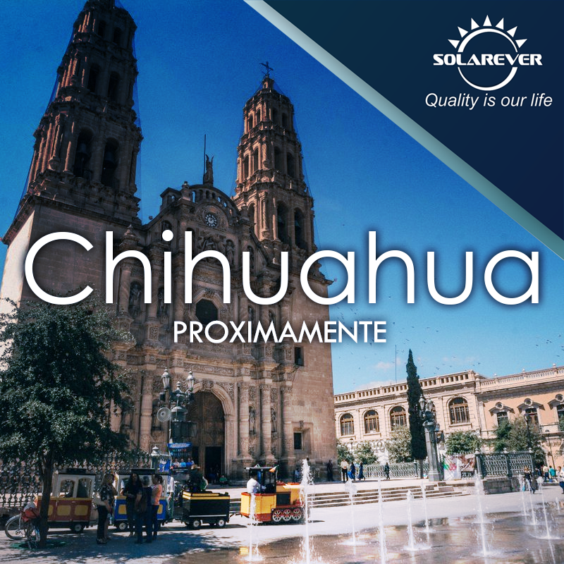 Bodega-Chihuahua-2