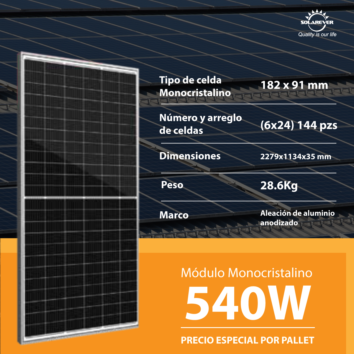 Campaña-regionalizada-(540)-corrección